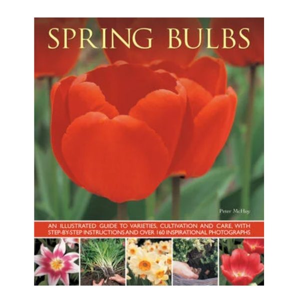 SPRING BULBS: AN ILLUSTRATED GUIDE