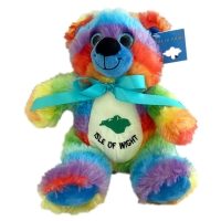 22CM RAINBOW BEAR ISLE OF WIGHT (6s)