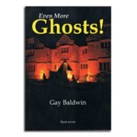 IW GHOST ISLAND BOOK 7