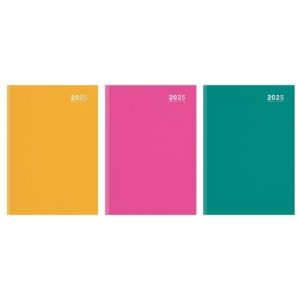 A4 W.T.V. HARDBACK PASTEL DIARY (10s)