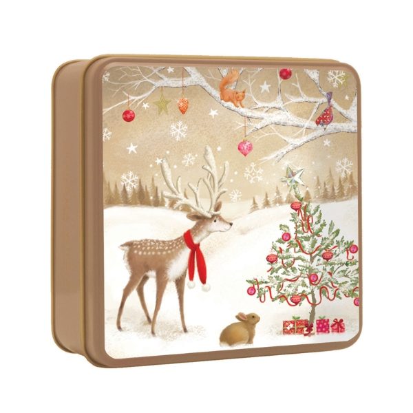 100g WOODLAND FRIENDS BISCUIT TIN(12s)