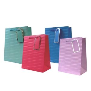EMBOSSED BRIGHTS M/S GIFT BAGS (12s)