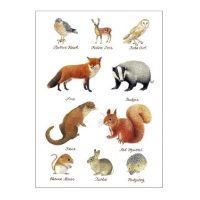 CLANNA CARDS 216 WILDLIFE - BLANK