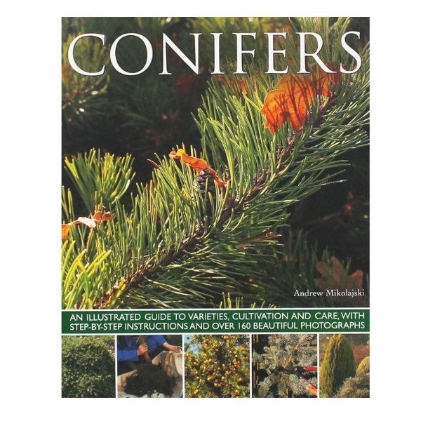 CONIFERS: AN ILLUSTRATED GUIDE