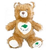 ISLE OF WIGHT 30CM GREEN MAP BEAR (6s)