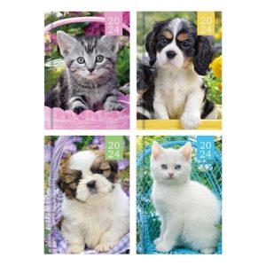 POCKET WTV PHOTO KITTEN/PUPPYDIARY(24s)