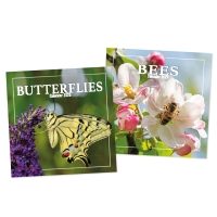 BEES/BUTTERFLIES SQUARE CALENDAR (12s)