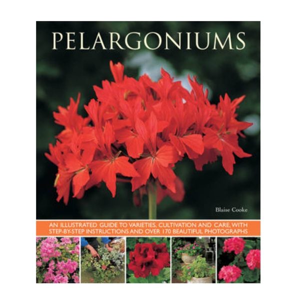 PELARGONIUMS: AN ILLUSTRATED GUIDE