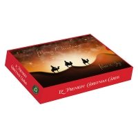 FOLLOW THAT STAR LANDSCAPE BOX(12s)