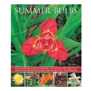 SUMMER BULBS: AN ILLUSTRATED GUIDE